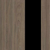 Вяз Благородный / Металл Черный